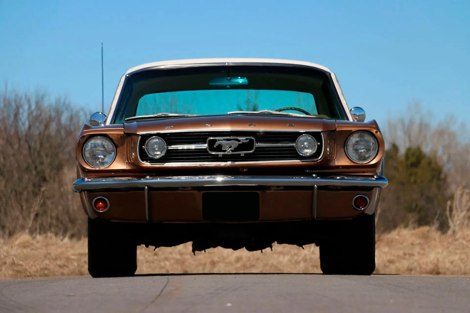 1966 Ford Mustang Bronze
